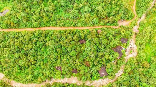 Mindo Garden Lodge And Wildlife Reserve Екстер'єр фото